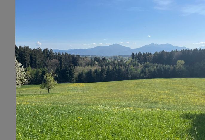 Ferienhaus Siedenberg – Foto 4