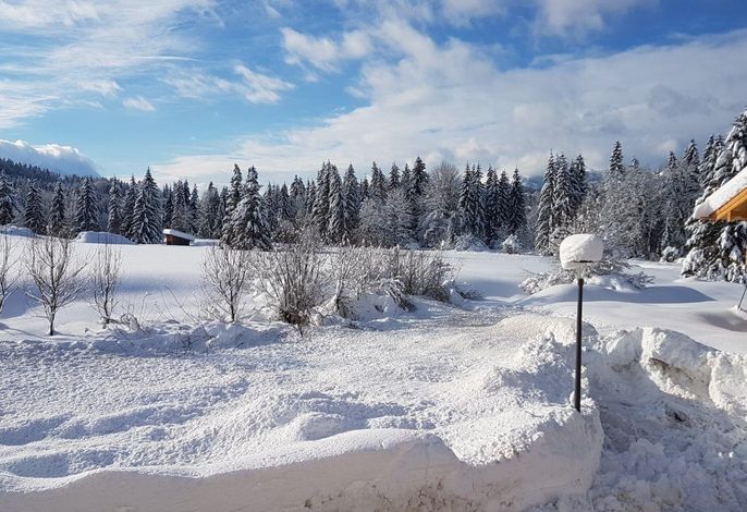 Chalet an der Lofer
