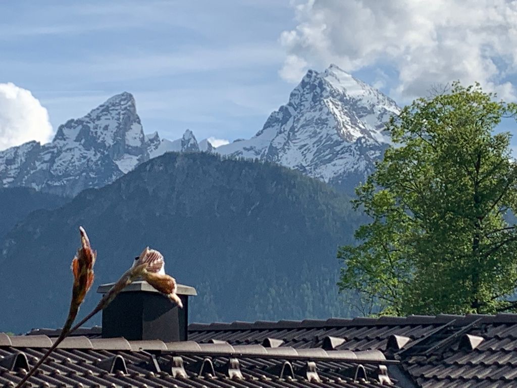 Watzmann