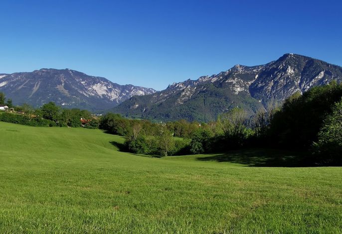 Bild 19