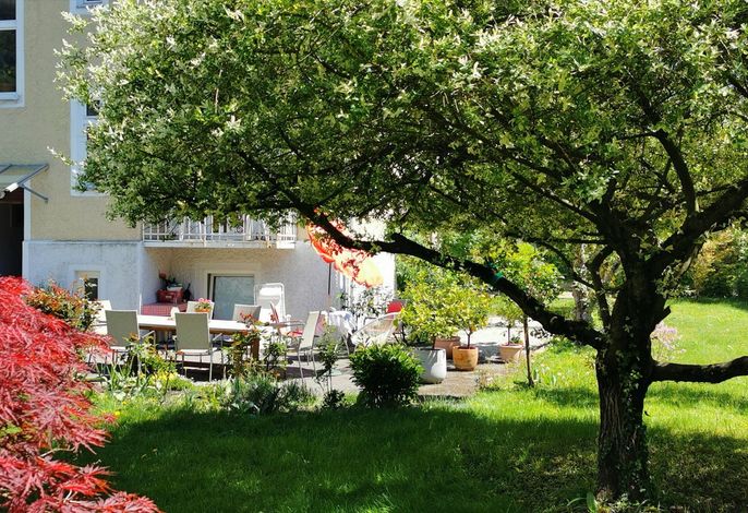 Bild 11