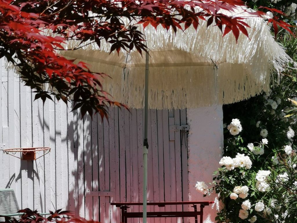Im Garten