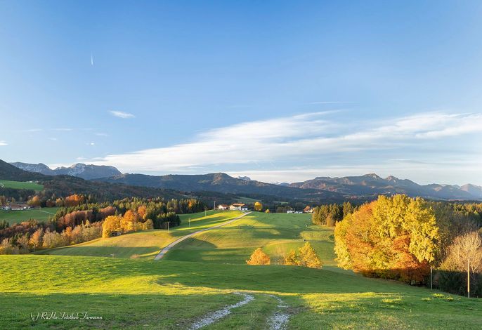 Bild 16