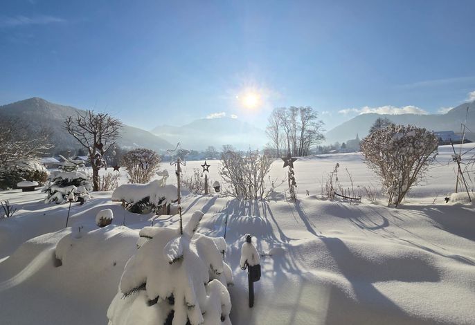 Bild 7