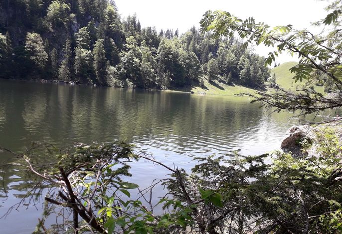 Bild 10