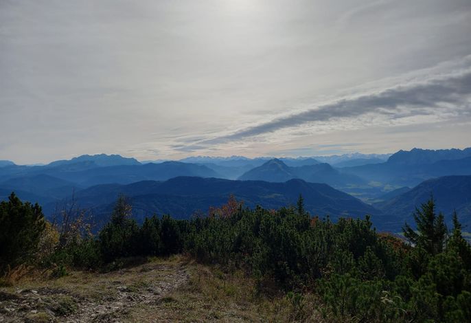 Bild 19