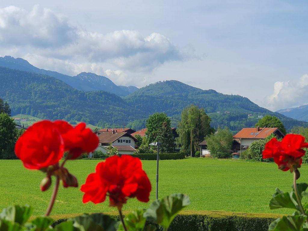 herrlicher Ausblick