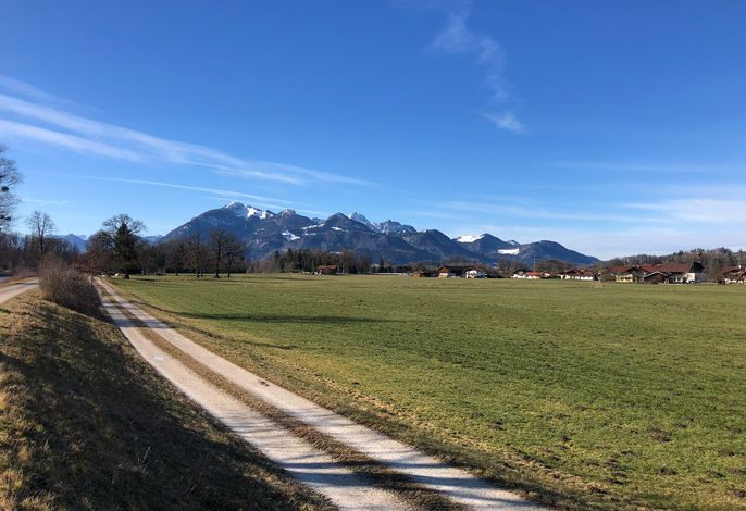 Bild 19