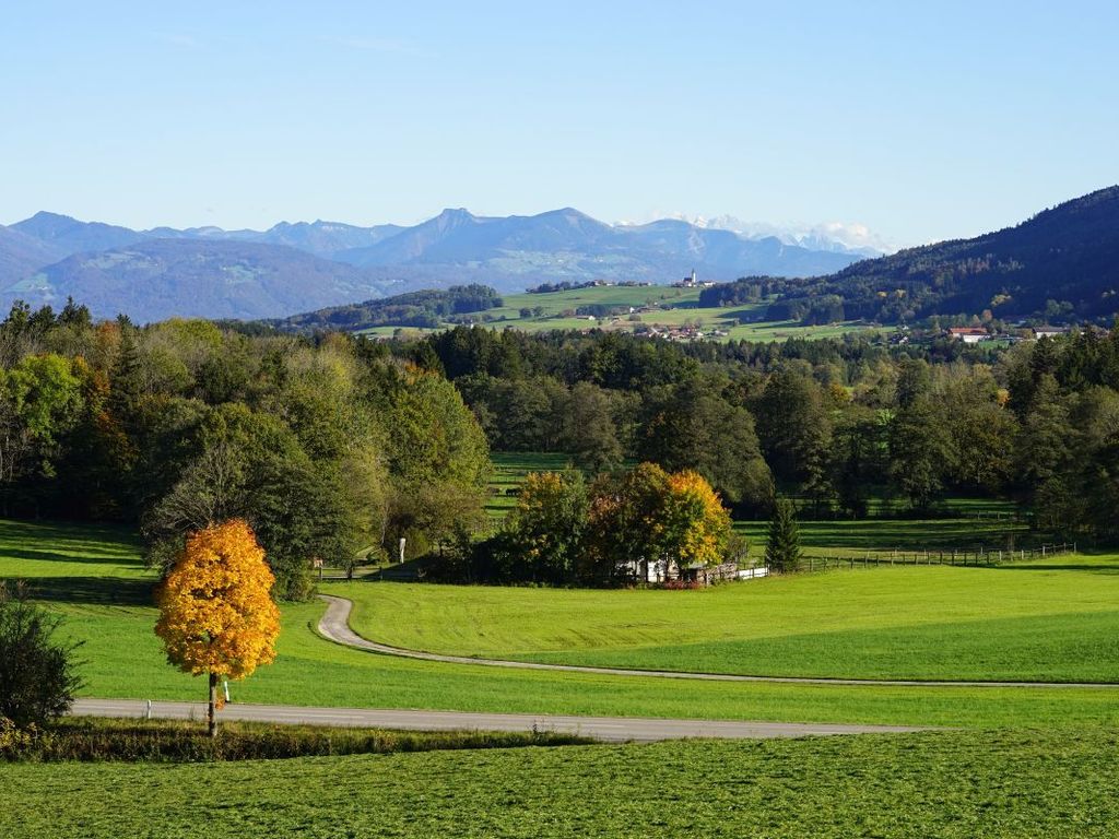 Ferienwohnung mit großem Panoramafenster