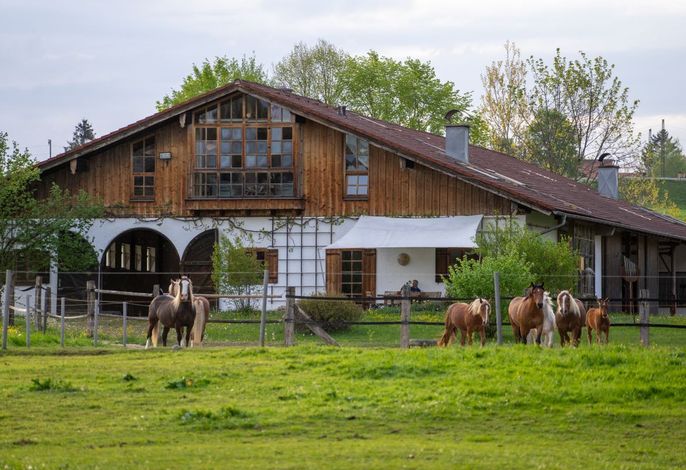 Ferienwohnung mit großem Panoramafenster