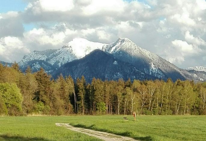 Bild 7