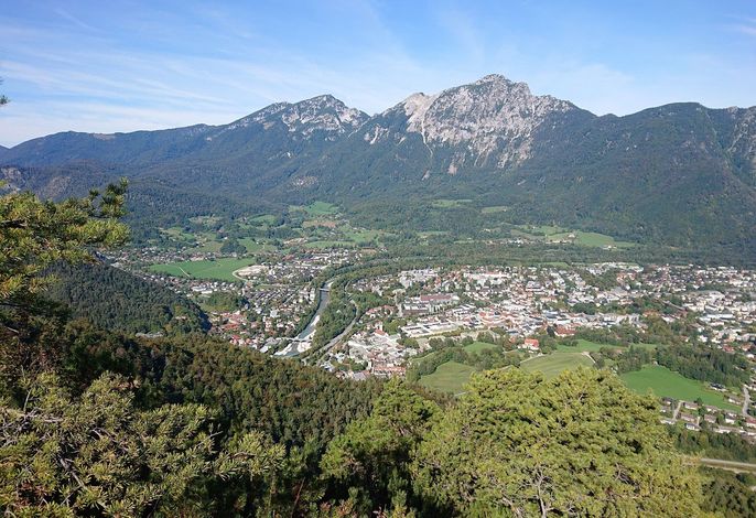 Bild 11