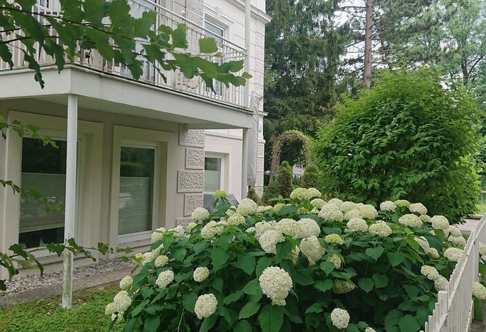 Bild 13