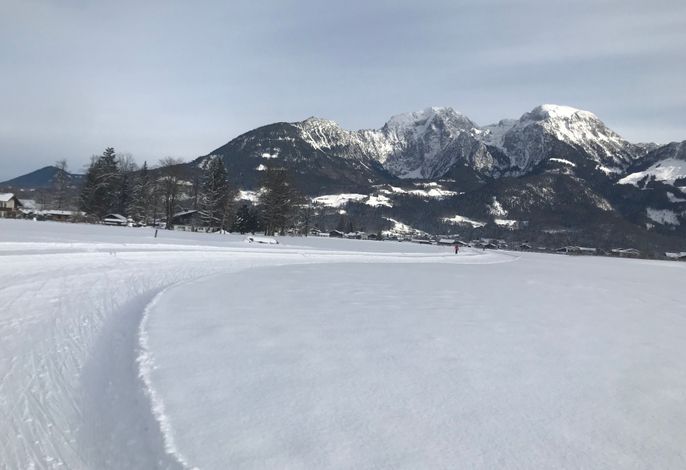 Bild 15