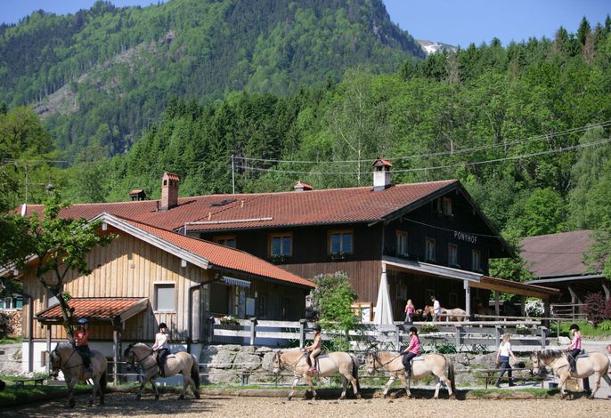 Bild 14