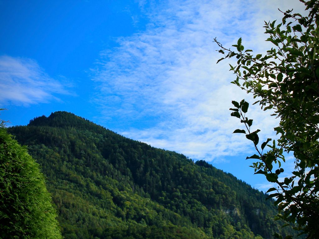 Ausblick Garten
