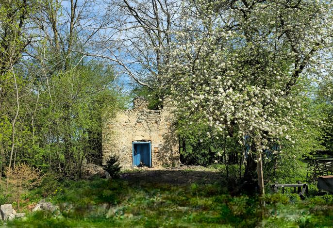 Bild 8