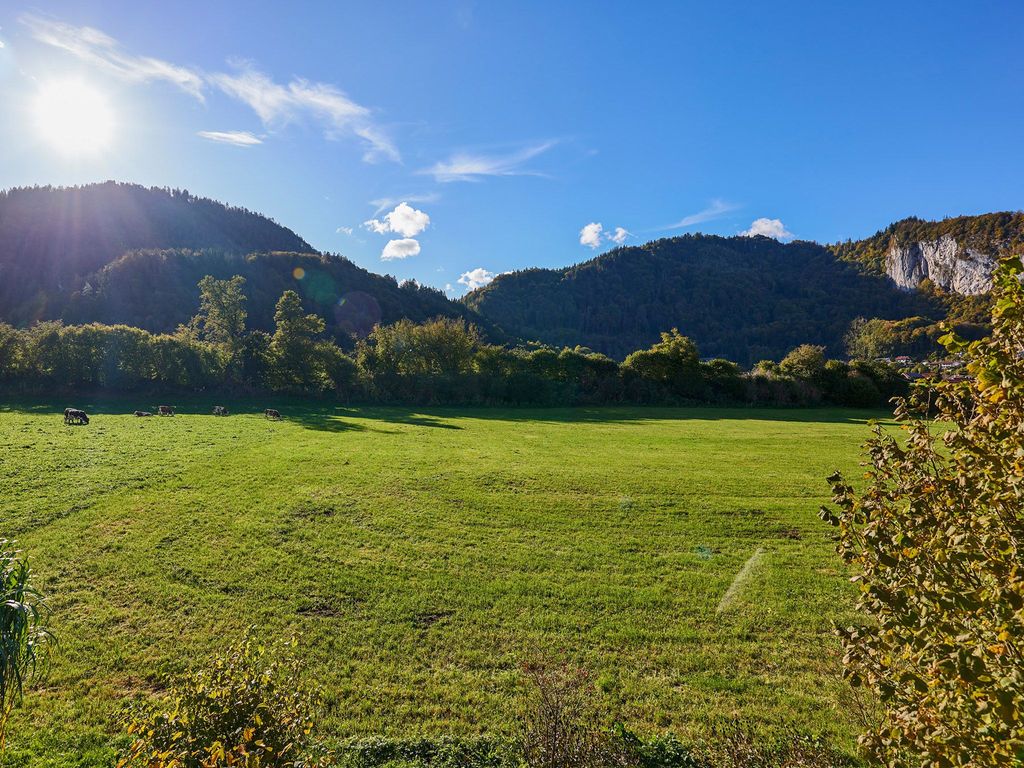 Ferienwohnung Wiesen