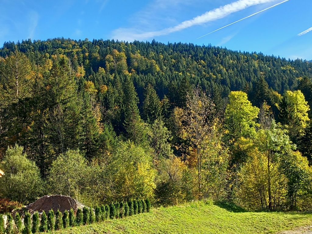 Blick vom Balkon
