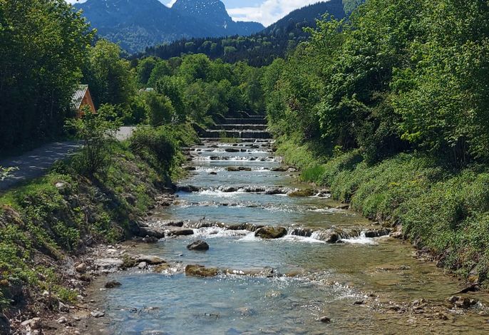 Ferienwohnung Alpenglück
