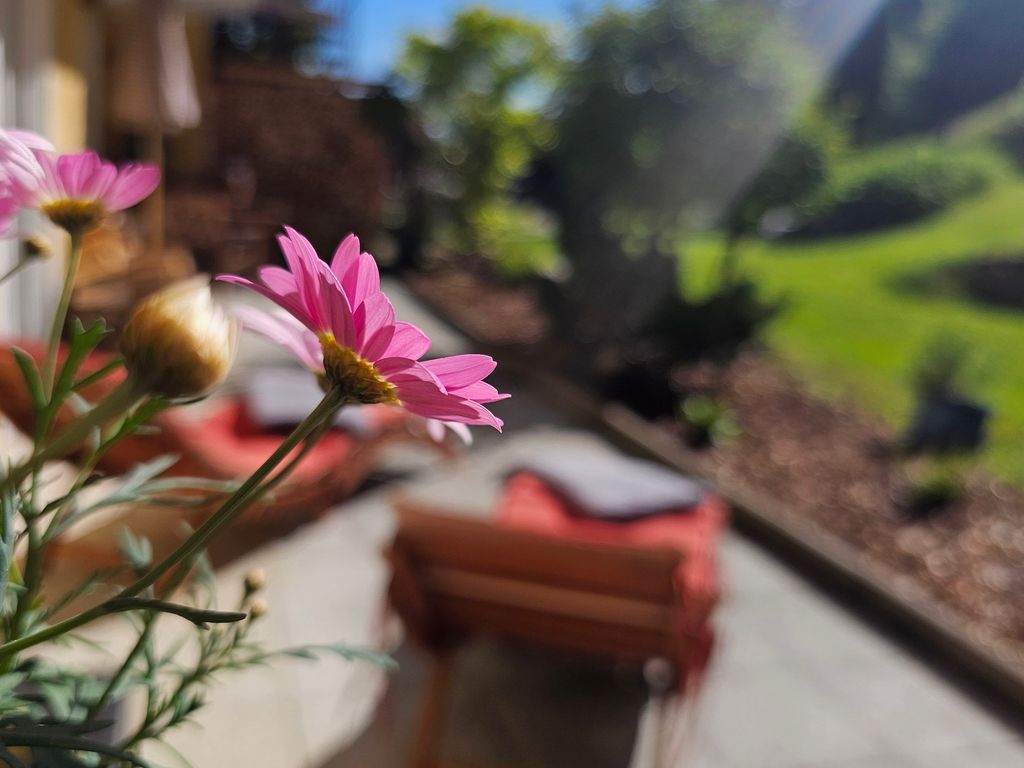 Terrasse mit Liegen