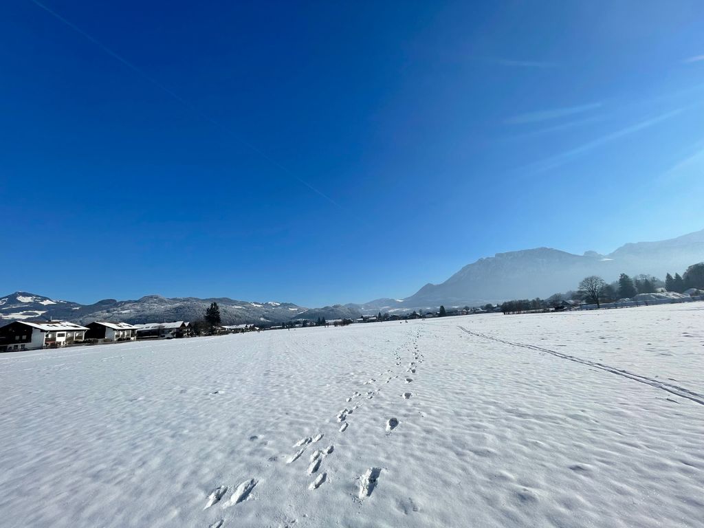Ausblick vom Balkon