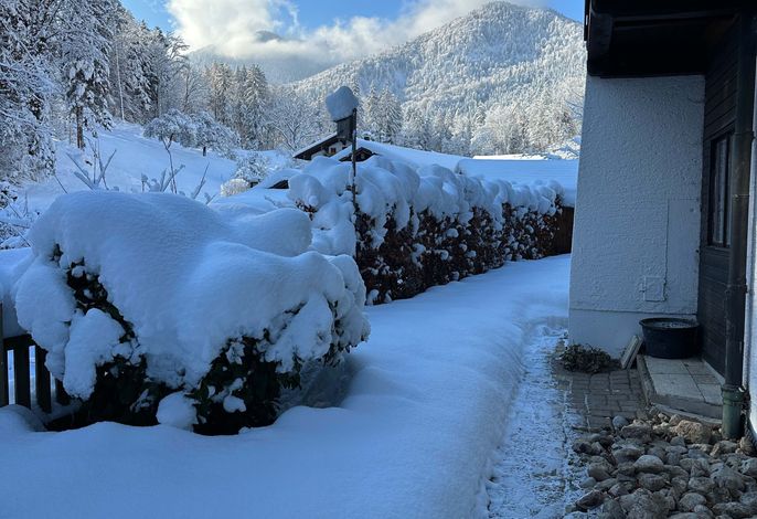 Bild 7