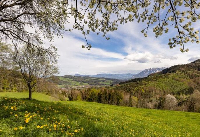 Bild 54