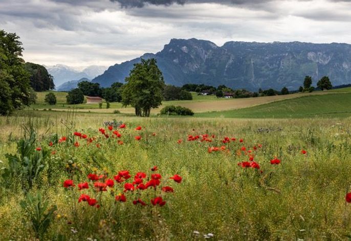 Bild 57