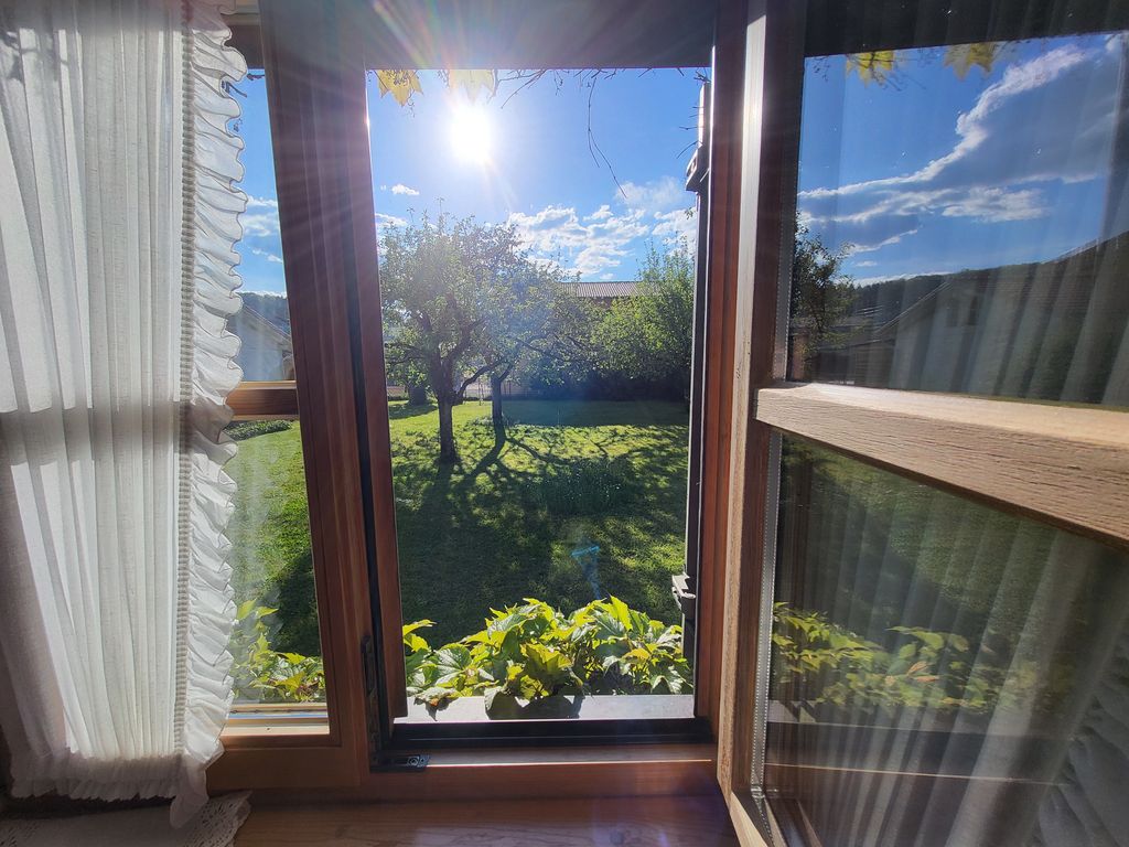 Blick in den Garten
