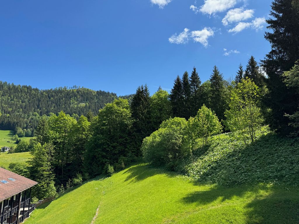 Ausblick Fenster