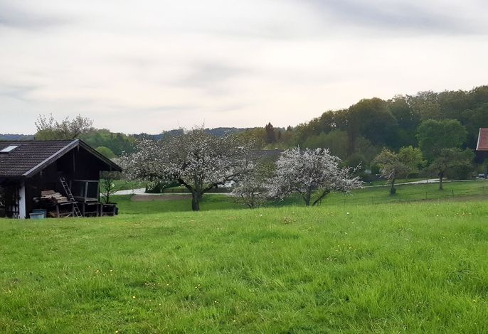Ferienwohnung Mutzenbauer – Foto 4