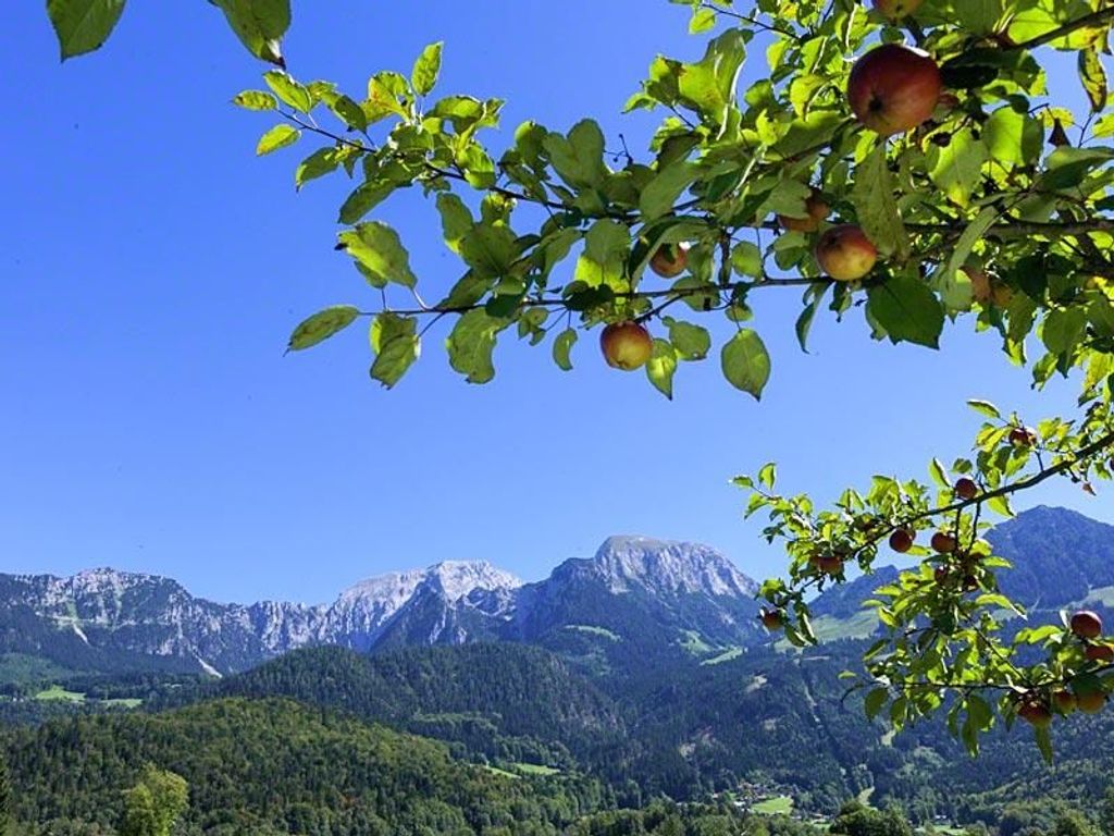 Aussicht