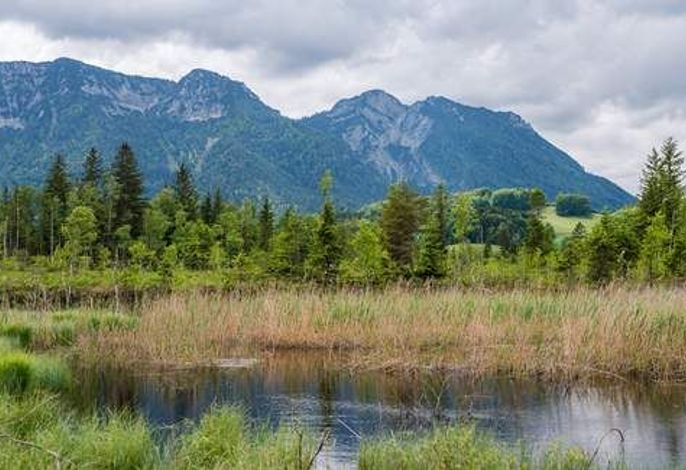 Bild 19