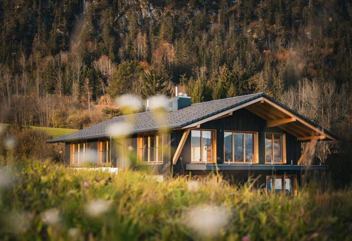 Chalet Roahäusl