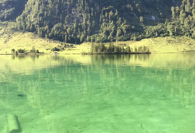 Bild 12