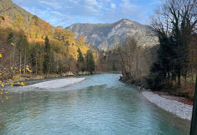 Bild 17