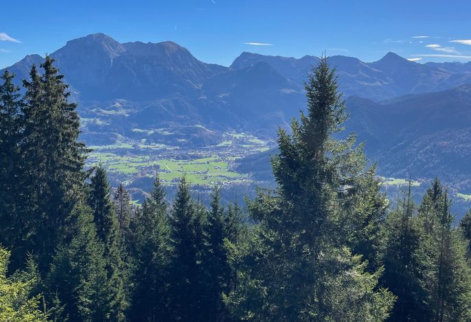 Bild 18