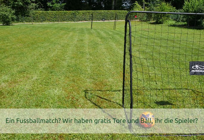 Bild 41