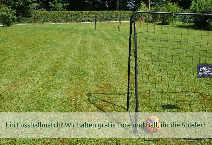 Bild 41
