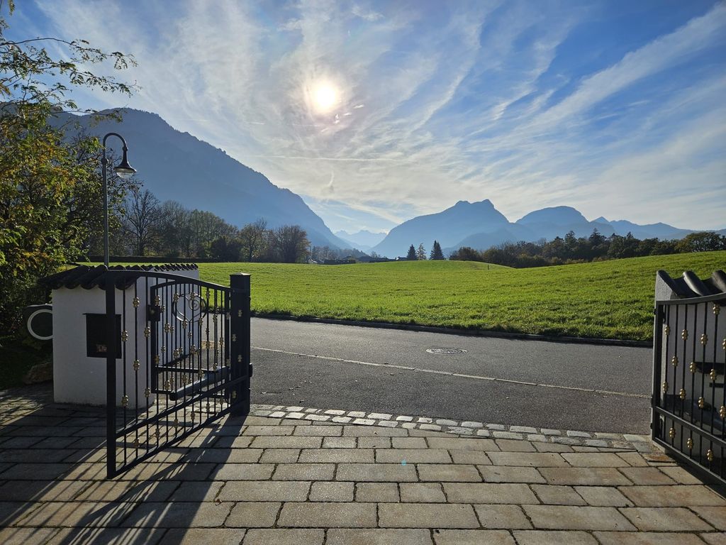 Ausblick