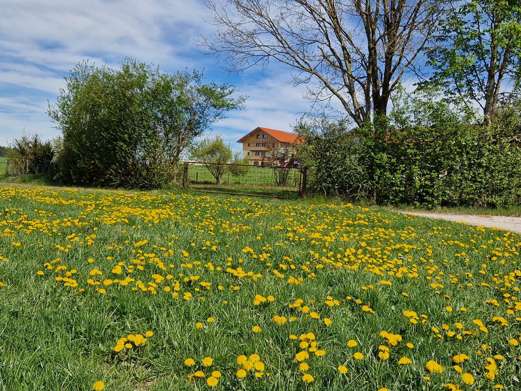 Frühling Blick auf die Ferienwohnungen