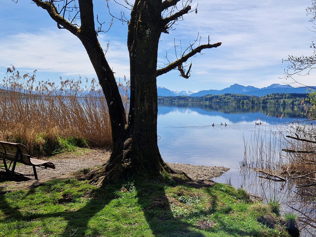 Frühling privater Strand am Waginger See für unsere Gäste