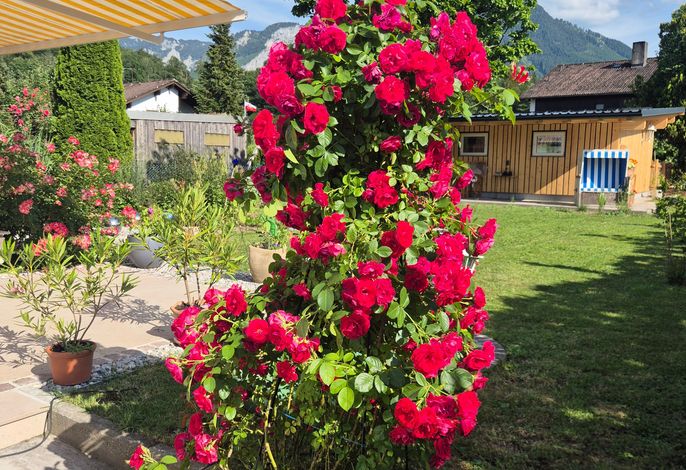 Bild 13