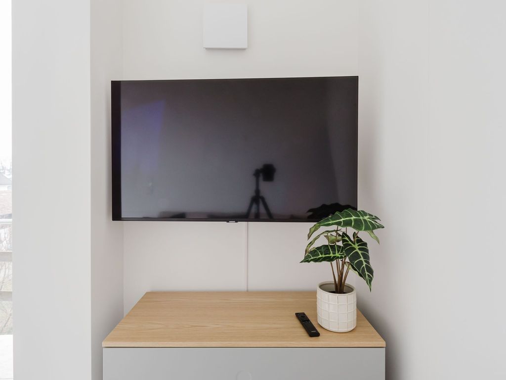 TV