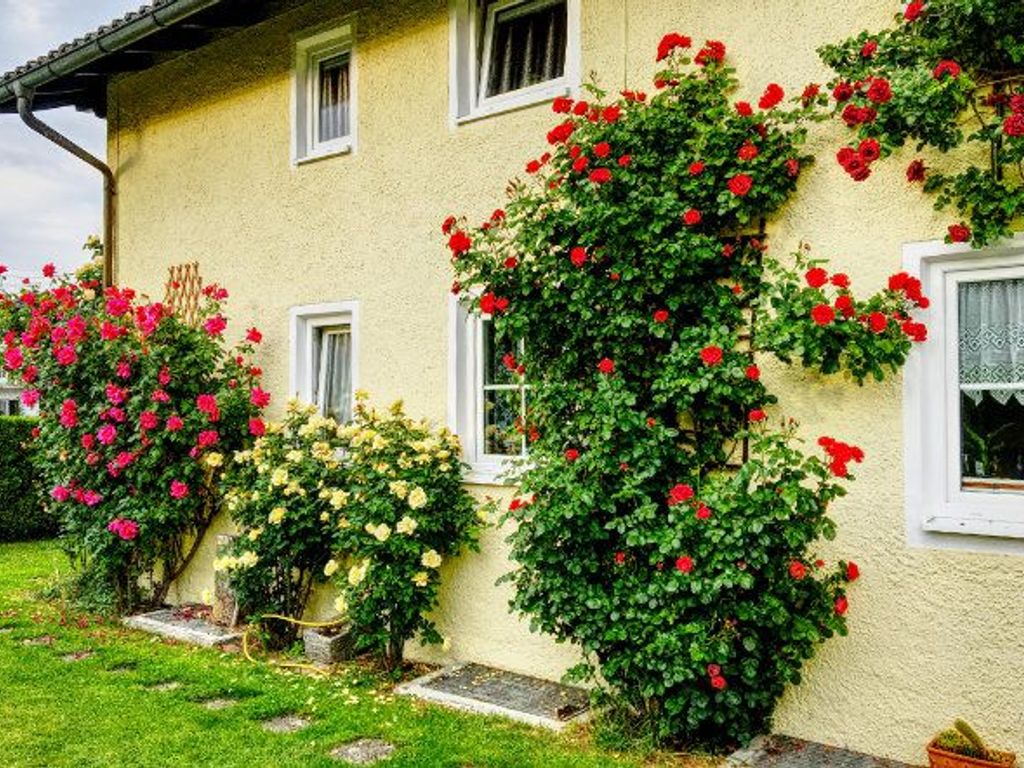 Haus Westseite