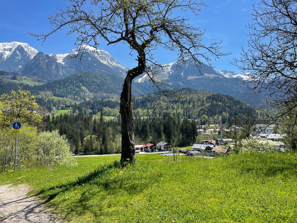 Blick vom Hof