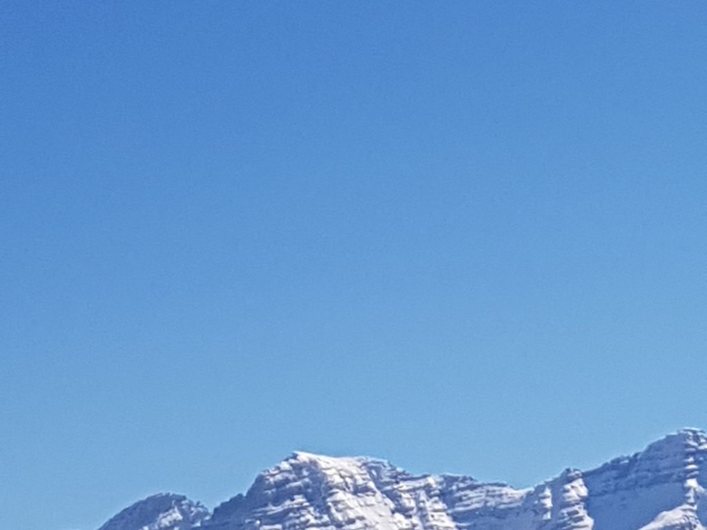 Blick