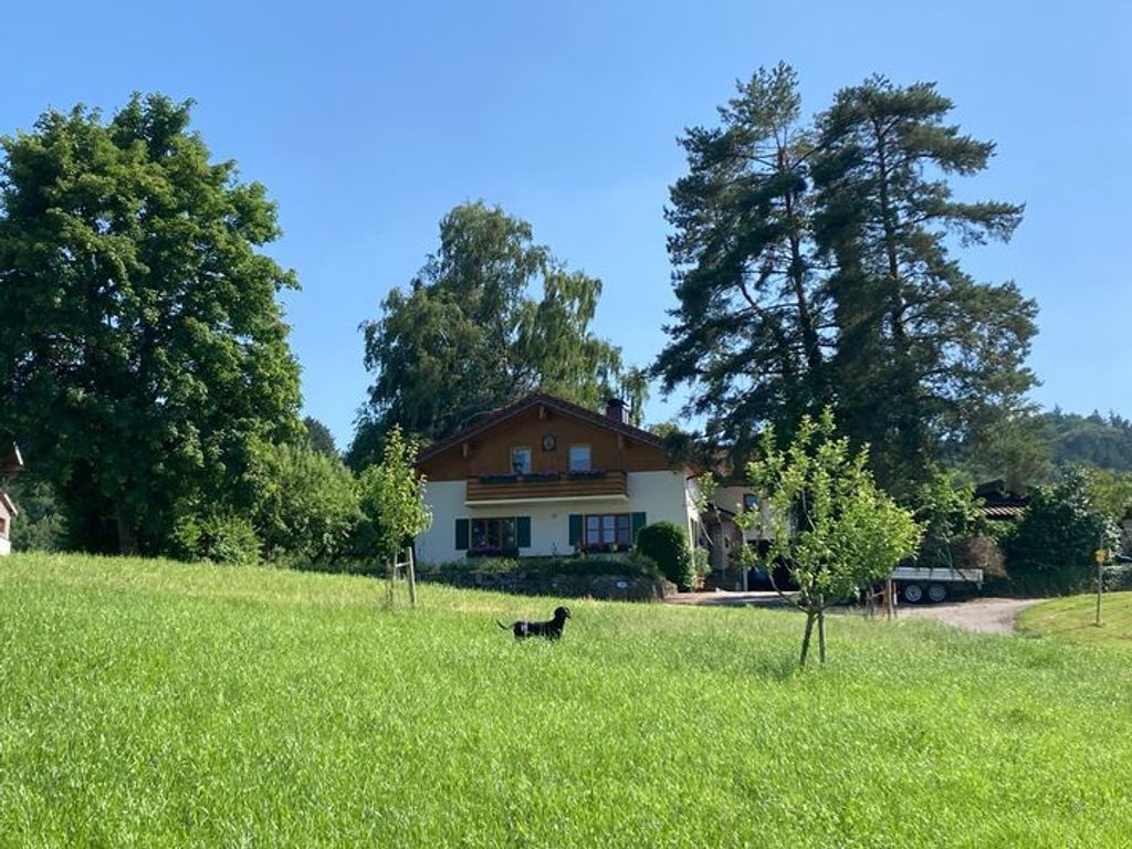 Hausansicht Wiese