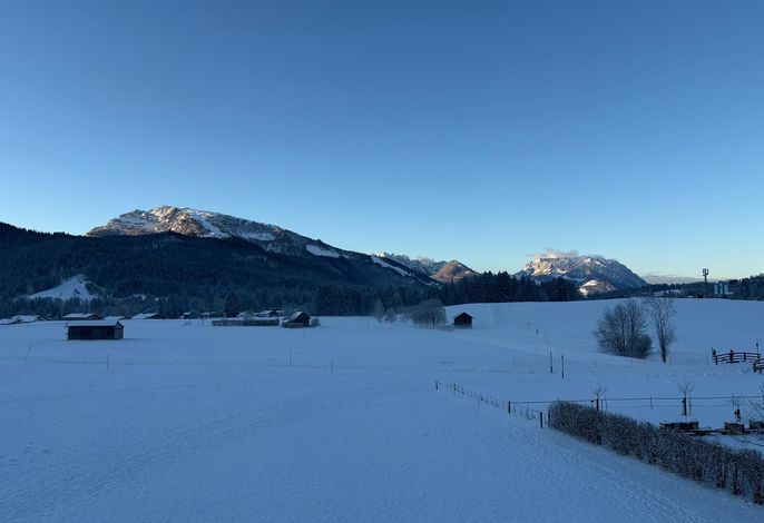Ferienwohnung Alpenpanorama